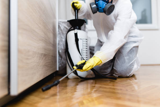 Wasp Removal Services in Toluca, IL