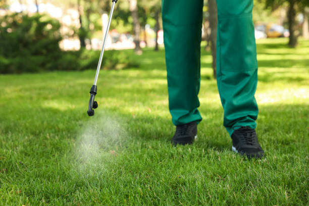 Best Exterminator Services  in Toluca, IL