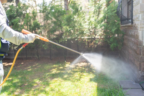 Best Bed Bug Extermination  in Toluca, IL