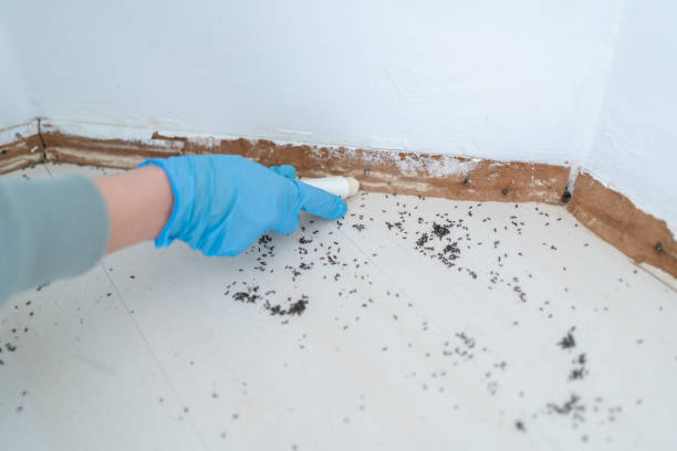 Best Best Pest Control Companies  in Toluca, IL
